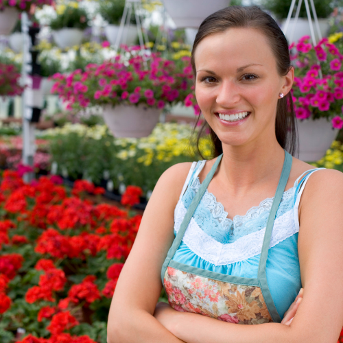 Robust Greenhouse Roofing That Is Safer Than Glass