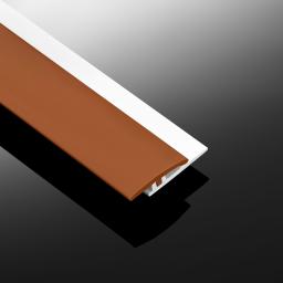 Wall Cladding Transition Strip Gloss Orange B.jpg