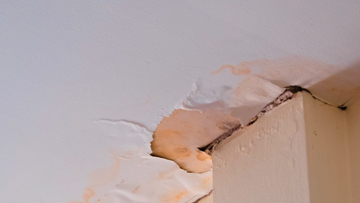 Got a Hole in Your Roof? Don’t Let it Become a Costly Job