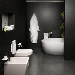 carbon elements bathroom