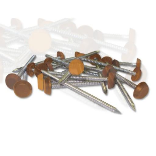 Light Oak Plastic Headed Pins & Nails