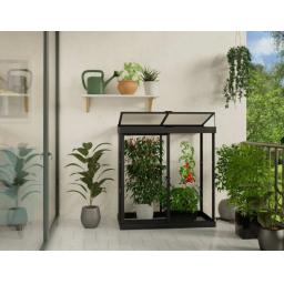 Palram-Canopia_Greenhouses_Ivy_4x2_06x13_Black_Clear_Main_3_-610x472.jpg