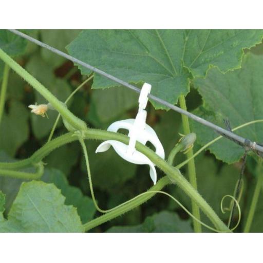 Trellising Kit Pro