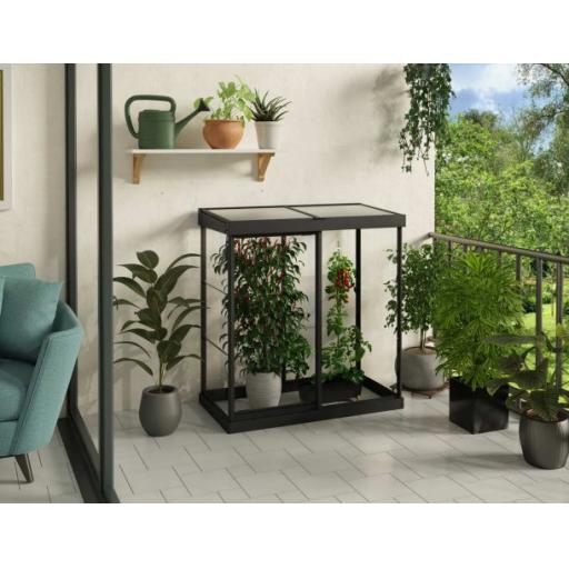 Palram-Canopia_Greenhouses_Ivy_4x2_06x13_Black_Clear_Main_2_-610x472.jpg