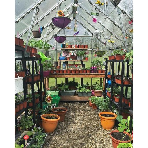 Octave 8ft x 12ft Polycarbonate Greenhouse - Silver Frame