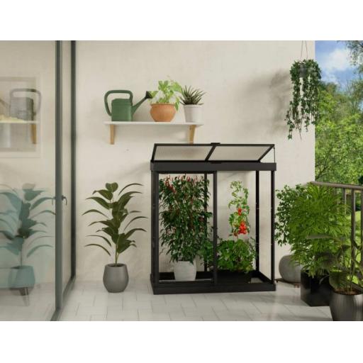 Palram-Canopia_Greenhouses_Ivy_4x2_06x13_Black_Clear_Main_3_-610x472.jpg