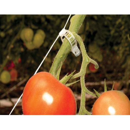Trellising Kit Pro