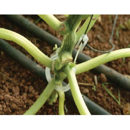 Trellising Kit Pro