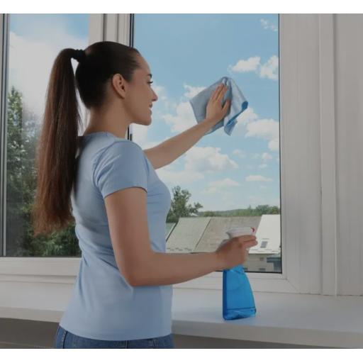 picture of sparkling clean windows