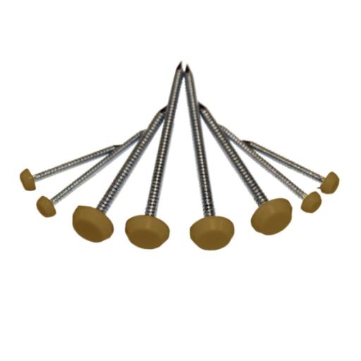 polytop nails and pins various sizes golden oak