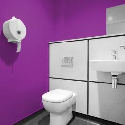 pvc plum wall panels for use in a toilet area