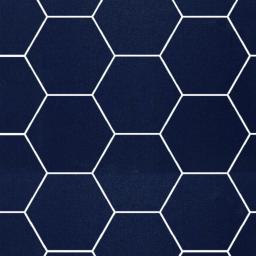 star blue hexagonal perform panel